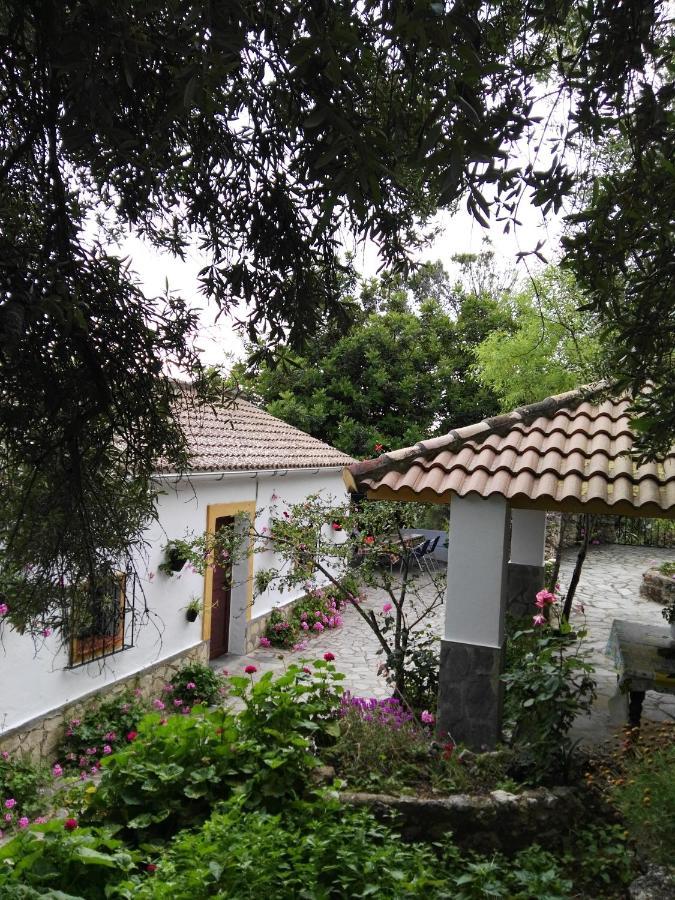 Villa Casa El Cerro El Bosque Esterno foto