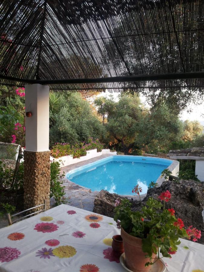 Villa Casa El Cerro El Bosque Esterno foto